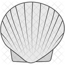 Scallop Conch Mollusc Icon