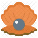 Seashell Pearl Mollusk Mollusc Icon