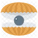 Seashell Pearl Mollusk Mollusc Icon