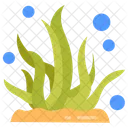 Seaweed Algae Sea Grass Icon