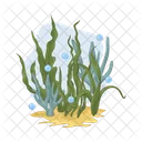 Seaweed Food Sushi Icon