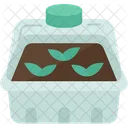 Seed Propagator Germinate Icon