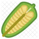 Seeds Sesame Food Icon