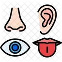 Senses Sight Taste Icon