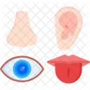 Senses Sight Taste Icon