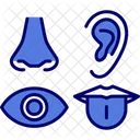 Senses Sight Taste Icon