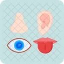 Senses Sight Taste Icon