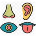 Senses Sight Taste Icon