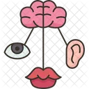 Sensory Development Senses Icon