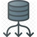 Server Database Data Icon