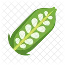 Sesame Food Seeds Icon