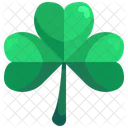 Shamrock  Icon