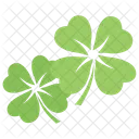 Clover Shamrock Four Leaf Icon