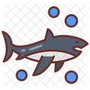 Shark Fish Shark Attack Icon