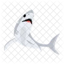 Carcharodon Carcharias White Shark Shark Fish Icon