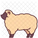 Sheep  Icon