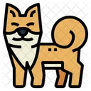 Shiba  Icon