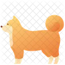 Animal Domestic Pet Icon