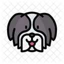 Shih Tzu Hund Tier Symbol