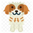 Shih Tzu  Icon