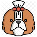 Shih Tzu Pet Dog Dog Symbol