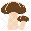 Shiitake Mushrooms Fungi Mushroom Food Boletus 아이콘