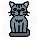 Shorthair Cat  Icon