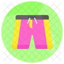 Shorts Knickers Clothing Icon