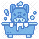 Shower  Icon