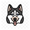 Husky Siberiano Perro Icono