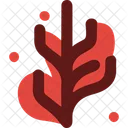 Seaweed Red Seaweed Gracilaria Icon