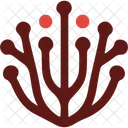 Seaweed Red Seaweed Gracilaria Icon