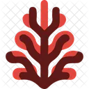 Seaweed Red Seaweed Gracilaria Icon