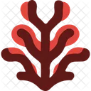 Seaweed Red Seaweed Gracilaria Icon