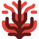 Seaweed Red Seaweed Gracilaria Icon