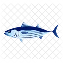 Skipjack Tuna  Icon