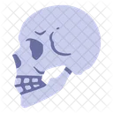 Skull Icon