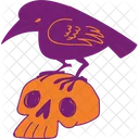 Skull  Icon