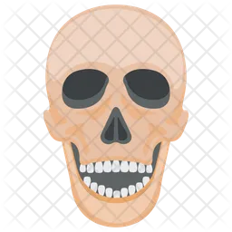 Skull  Icon