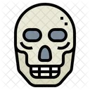 Skull  Icon