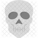 Skull  Icon