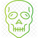 Skull  Icon