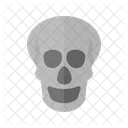 Skull X Ray Icon