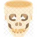 Skull Bone Head アイコン