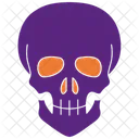 Skull Bones Anatomy Icon