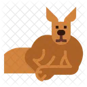 Sleeping Kangaroo  Icon