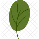 Small Rounded Leaf Spring Nature Icon