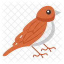 Small Songbirds Urban Birdwatching Melodic Tweets Icon