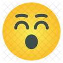 Smile Emoticon  Icon