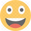 Emoticon Smiley Face Icon